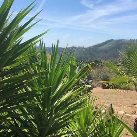 Ola Bella Vista Vila Figueiro Dos Vinhos