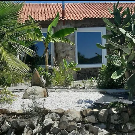 Vila Ola Bella Vista Figueiro Dos Vinhos