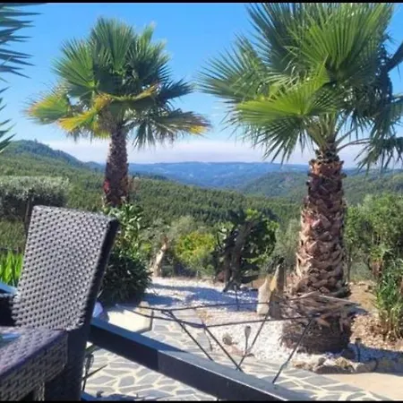 Ola Bella Vista *