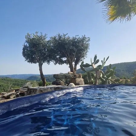 Villa Ola Bella Vista Figueiro Dos Vinhos