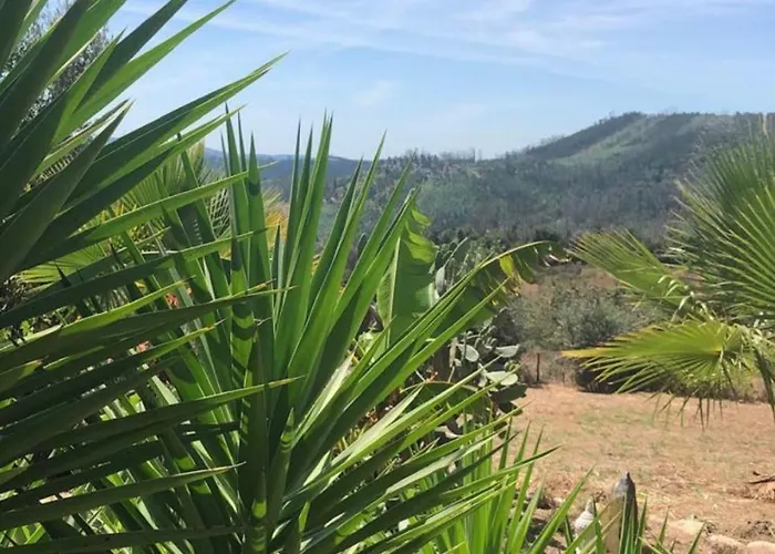 Ola Bella Vista Villa Figueiró dos Vinhos