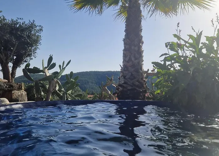 Ola Bella Vista *
