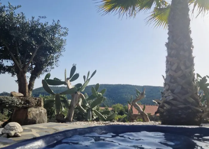 Ola Bella Vista * フィゲイロー・ドス・ヴィーニョス